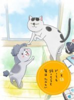 С котом да собакой каждый день в радость/Inu to Neko Docchi mo Katteru to Mainichi Tanoshii
