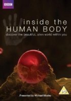 Внутри человеческого тела/Inside the Human Body