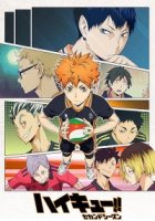 Волейбол!!/Haikyuu!!: To the Top 5 сезон
