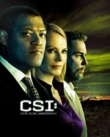 Место преступления: Лас-Вегас/CSI: Crime Scene Investigation 10 сезон