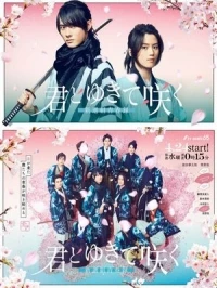 Расцвести с тобой/Kimi to Yukite Saku: Shinsengumi